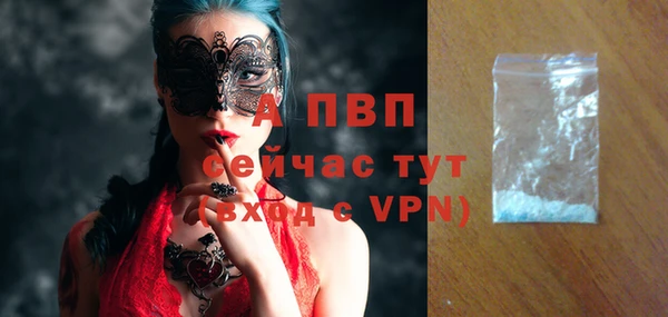 индика Губаха