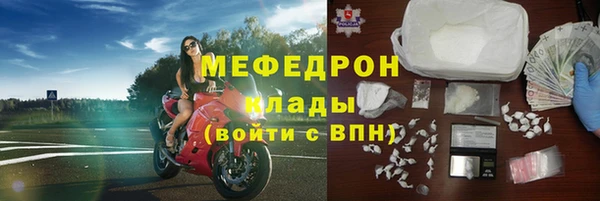 индика Губаха