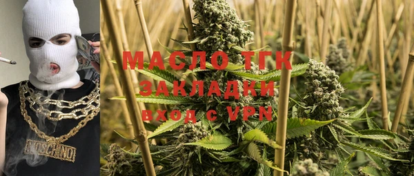 индика Губаха