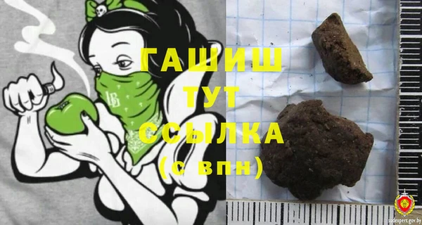 индика Губаха
