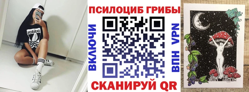наркошоп  Любим  Псилоцибиновые грибы мицелий 